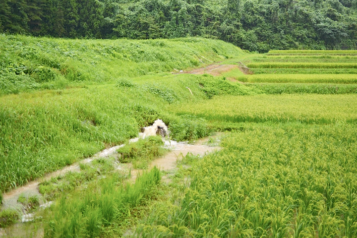 DSC_6900.jpg