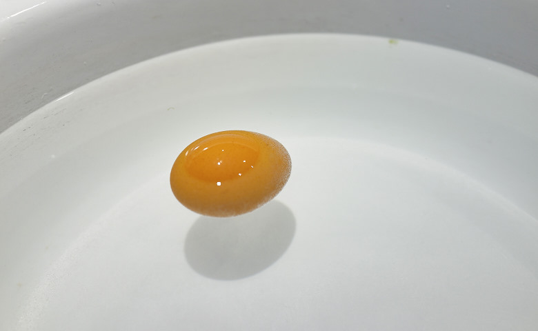 浮く卵DSC01116.jpg