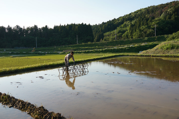 田植え_わく_DSC02455.jpg