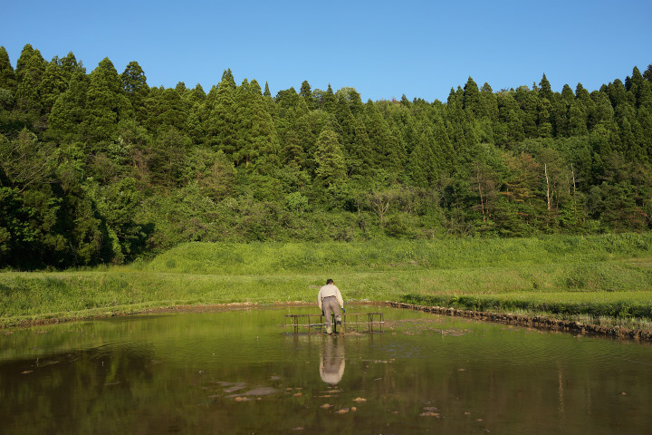 田植え_わく_DSC02459.jpg