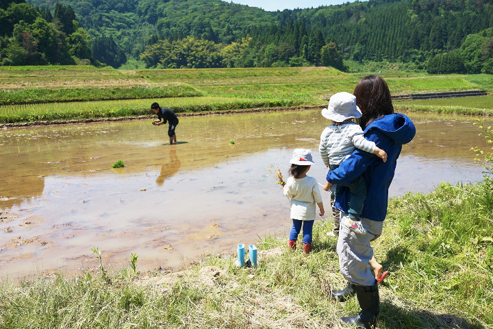 田植え_DSC02501.jpg