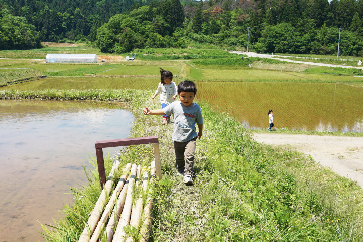 田植え_DSC02524.jpg