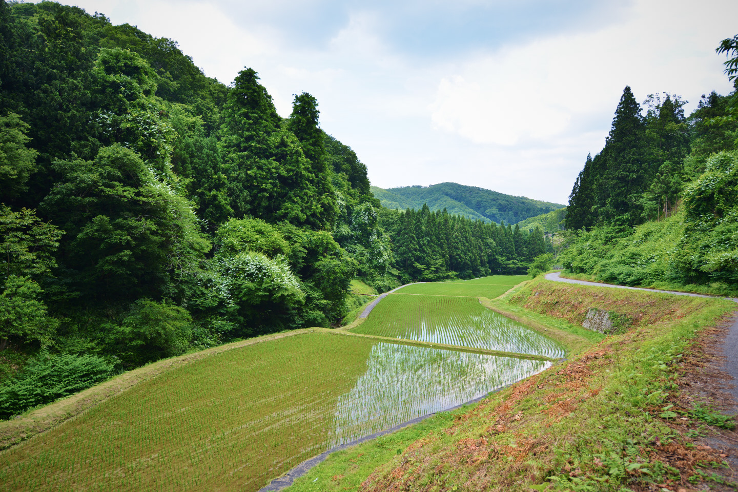 能登_鉢伏山DSC_2998.jpg