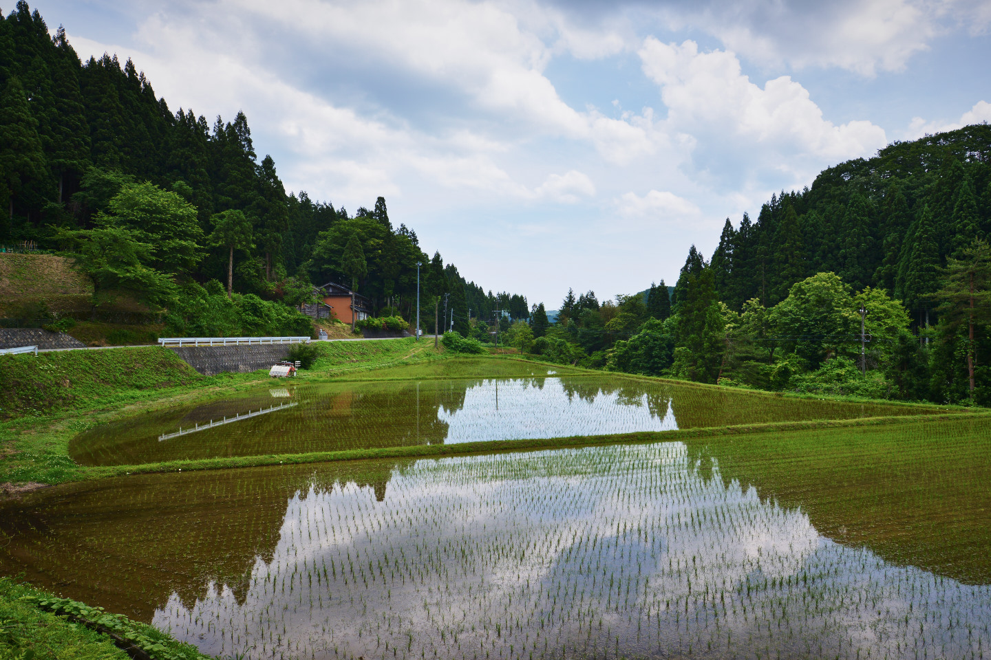 能登_鉢伏山DSC_3000.jpg