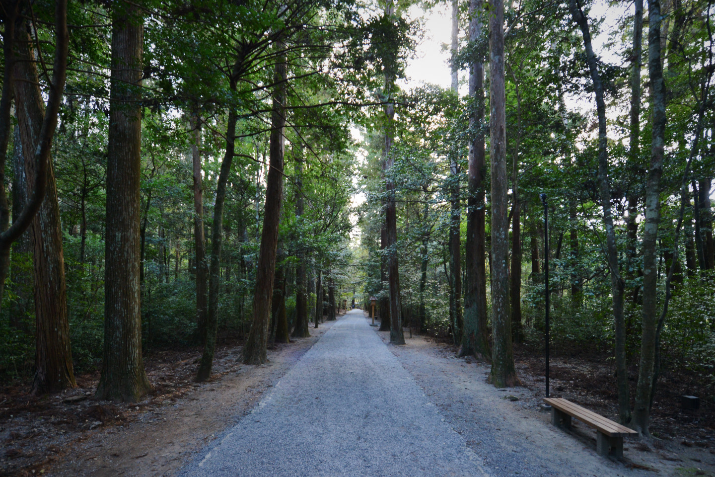 瀧原宮_DSC_4291.jpg