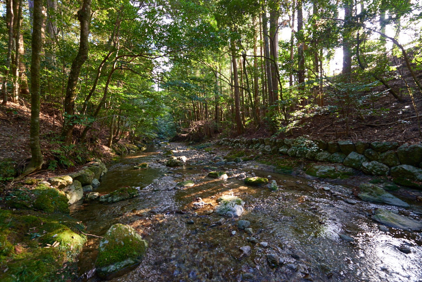 瀧原宮_DSC_4300.jpg