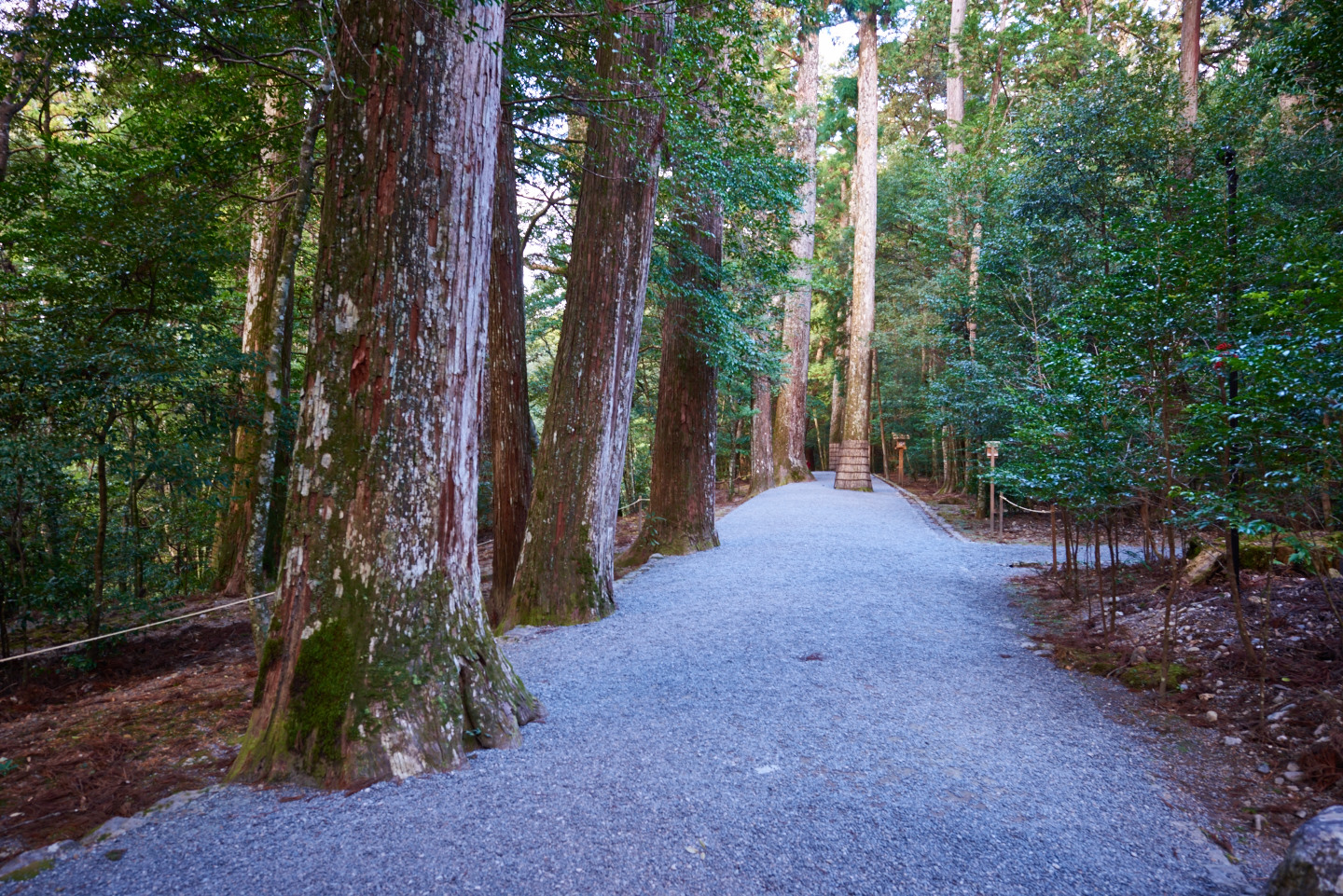 瀧原宮_DSC_4307.jpg