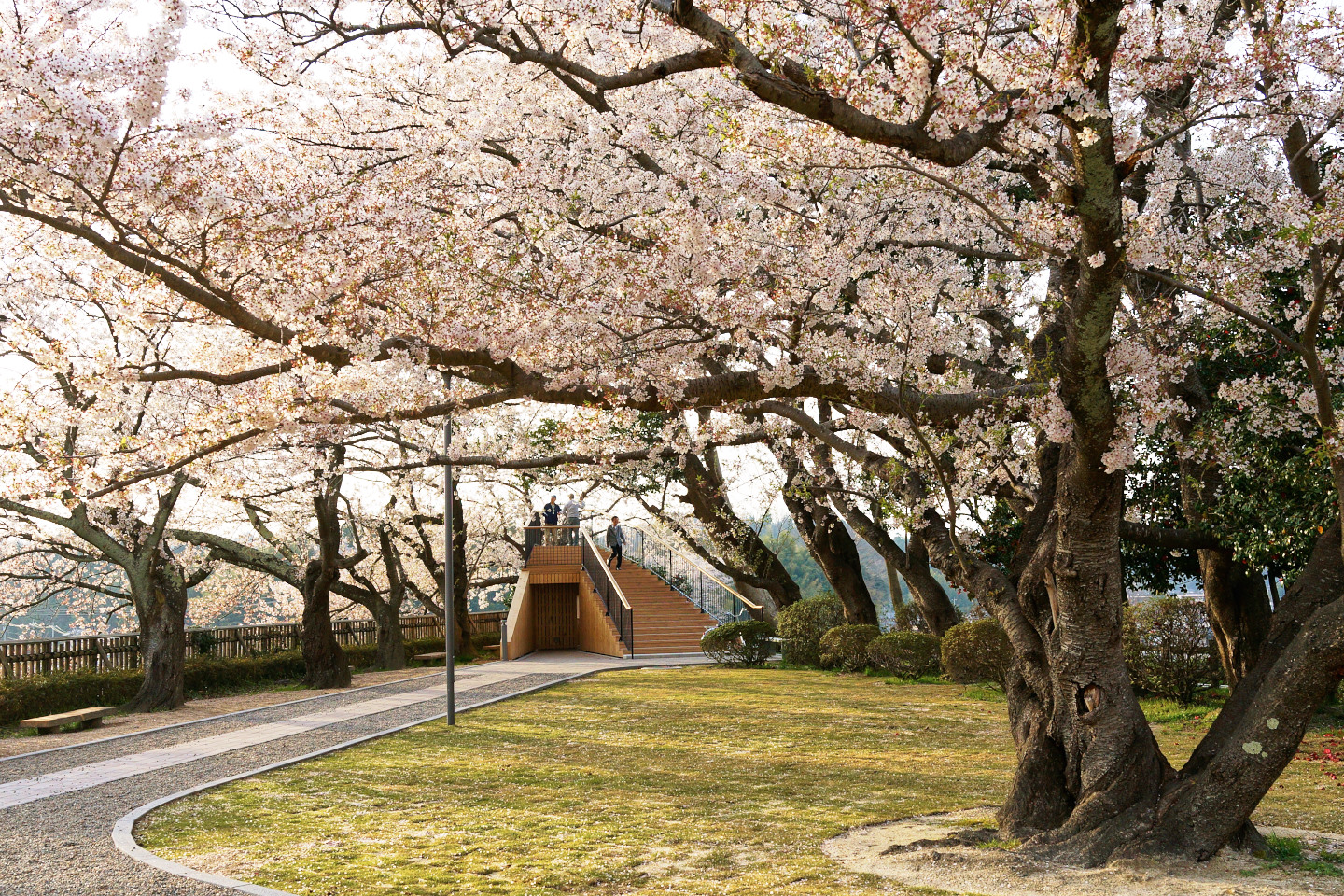 小丸山城址公園 乾の櫓_DSC7104.jpg