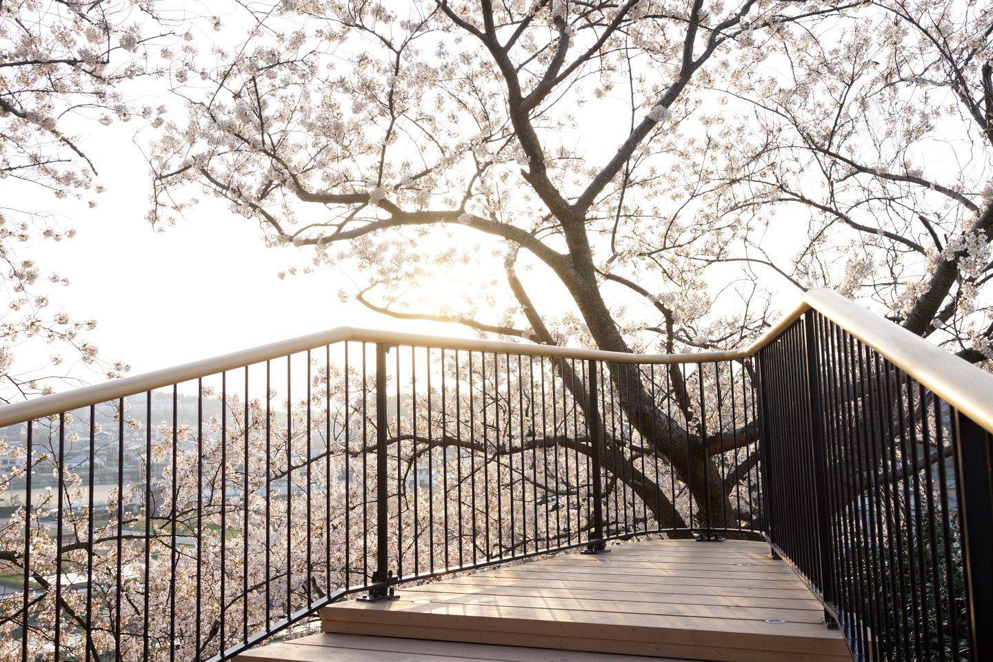 小丸山城址公園 乾の櫓_DSC7112.jpg